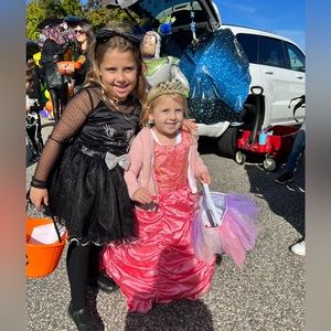 Pink Princess Halloween Costume Girls Size Small 5/6 So pretty with hoop skirt